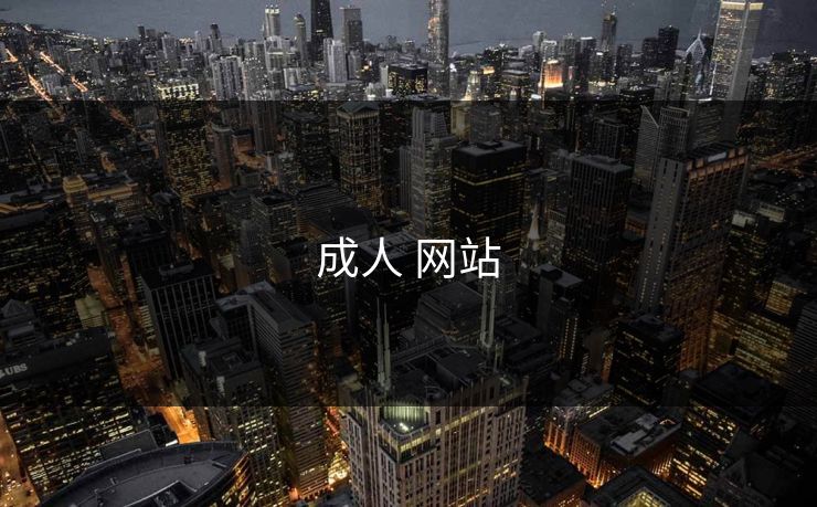 成人 网站