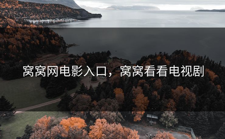窝窝网电影入口，窝窝看看电视剧