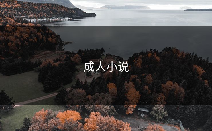 成人小说 成人小说