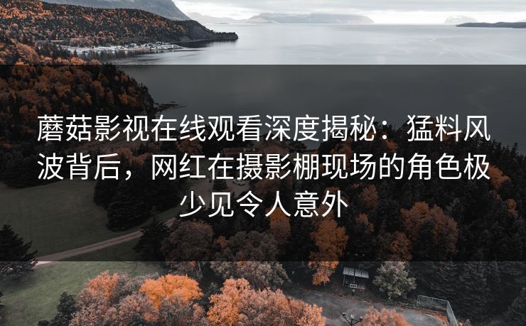 蘑菇影视在线观看深度揭秘:猛料风波背后,网红在摄影棚现场的角色极少见令人意外 蘑菇影视在线观看深度揭秘:猛料风波背后,网红在摄影棚现场的角色极少见令人意外