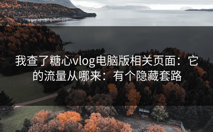 我查了糖心vlog电脑版相关页面：它的流量从哪来：有个隐藏套路